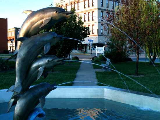 dolphins